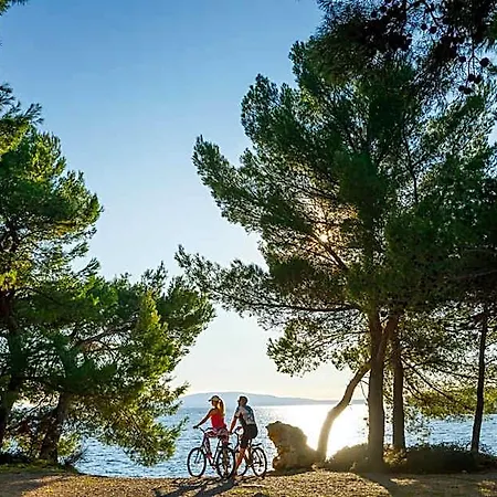 Szálloda Valamar Carolina &